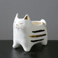 Clarissa Die Katze
