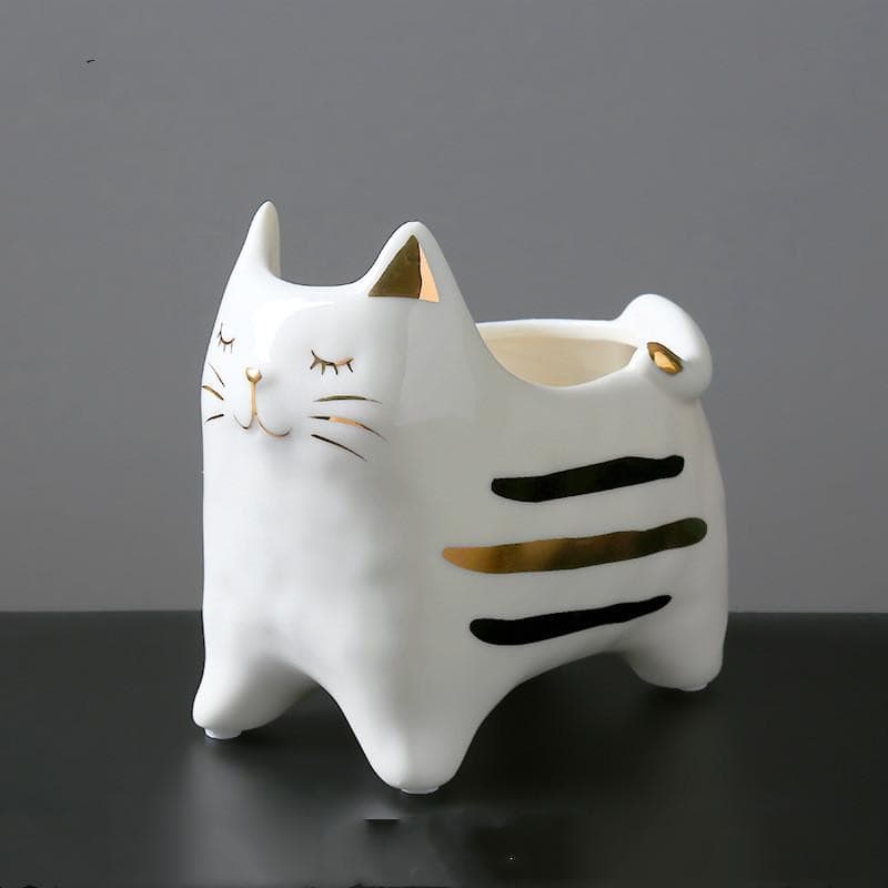 Clarissa Die Katze