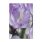 Küstenlavendel Lilie Magnolie Wandkunst Poster
