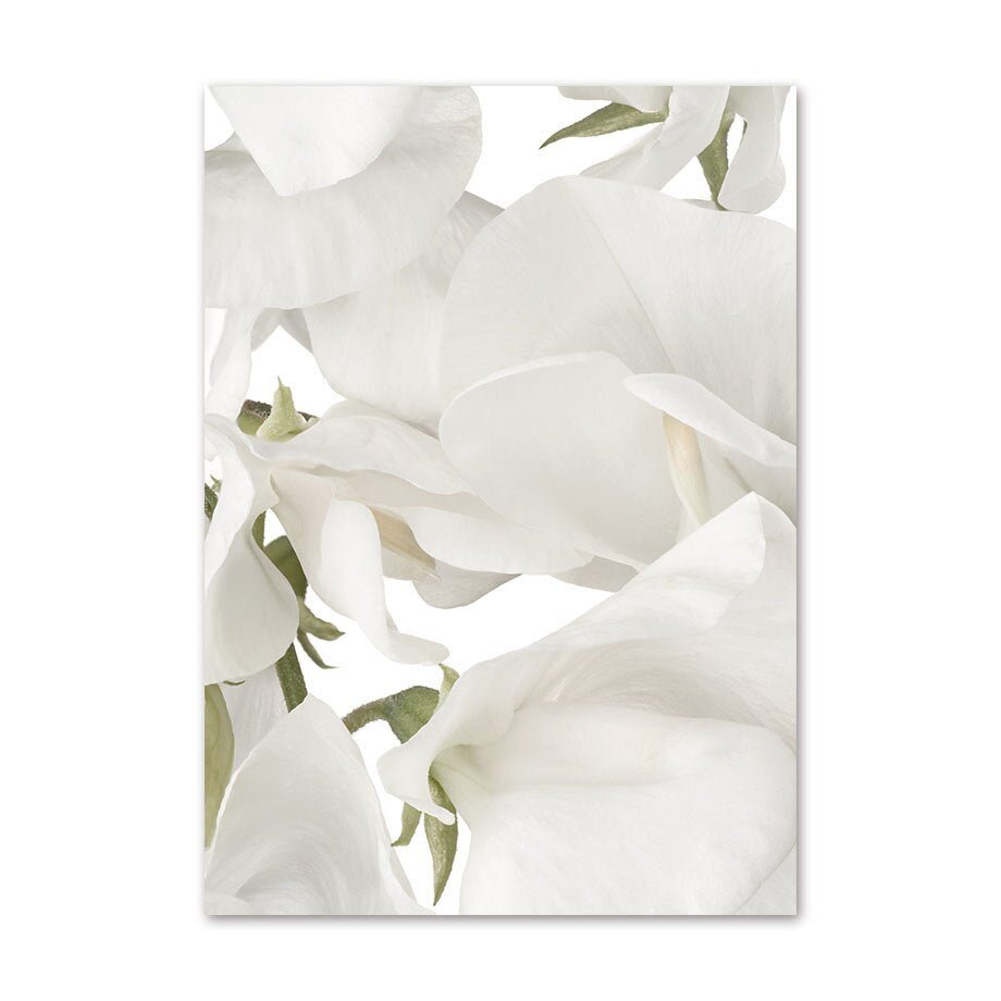 Küstenlavendel Lilie Magnolie Wandkunst Poster