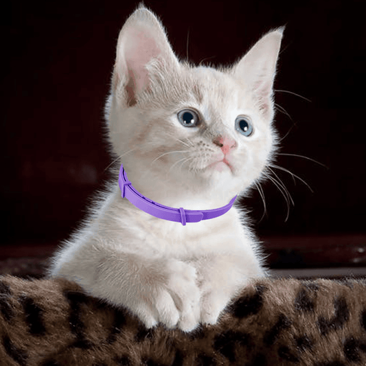 Anti-Mücken-Halsband für Hunde und Katzen