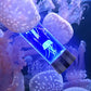 Frendorf | LumaJelly LED Quallenlampe | Farbwechsel Aquarium Tisch-Nachtlicht | Faszinierende Dekoration