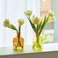 Glass Bodletop Zweiteilige Vase