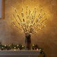 Frendorf | WillowLume - Elegante LED-Gartenlichter