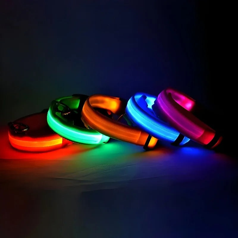 Frendorf | BrightPaws LED Leine und Leuchthalsband | Sicherheitsset für Hunde | Sichtbarkeit & Stil