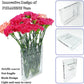 Frendorf | Book of Flowers® - Blumenvase (Kaufe 2, kostenlose Lieferung)