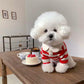 Klassische gestreifte Polo-Hundeshirts
