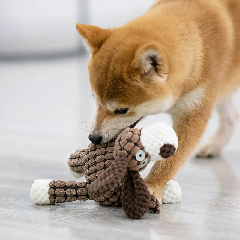 Quietschendes Plüschtier für Hunde