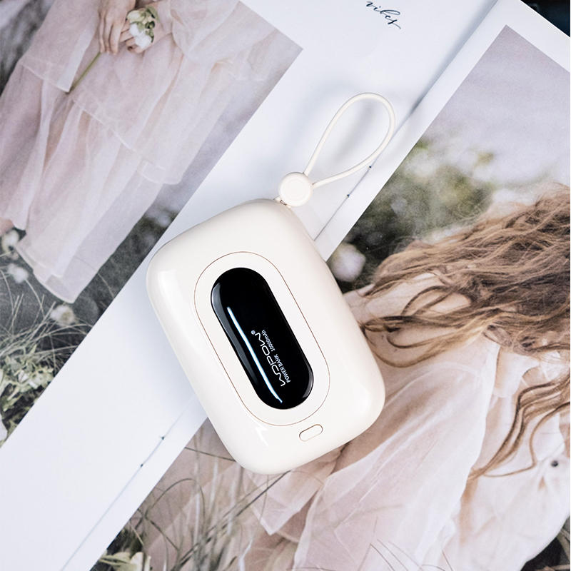 Frendorf | 10000mAh Eingebaute Dual-Kabel Powerbank