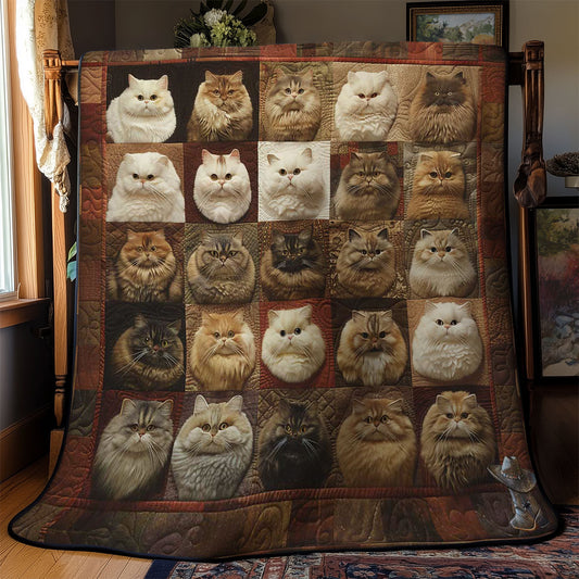 Gemütliche Katzendecke