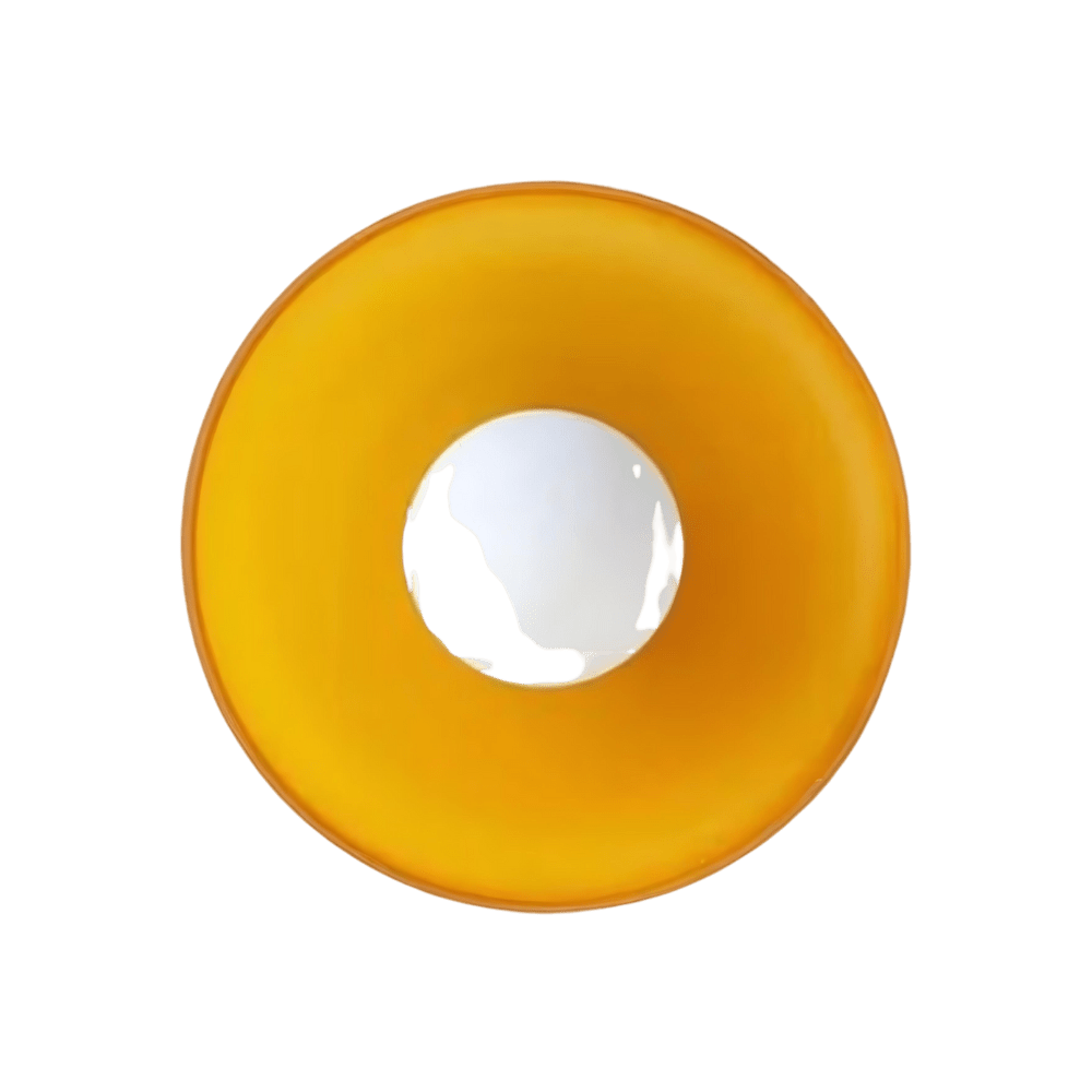 Frendorf | Beleuchten Sie Ihren Raum mit der Liebe der Olive Disc Wandleuchte