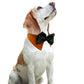 Frendorf | Woof Toys™ Haustier Fliege Halsband