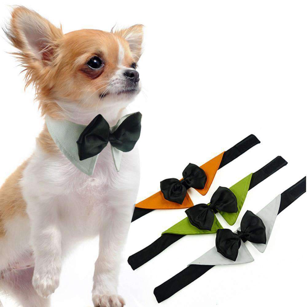 Frendorf | Woof Toys™ Haustier Fliege Halsband