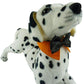 Frendorf | Woof Toys™ Haustier Fliege Halsband