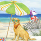 Frendorf | Hundestrandtag Horizontal I Wandkunst