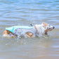 Atmungsaktive Weste zur Vorbeugung von Sonnenstich wasserlösliche Hundekühlweste