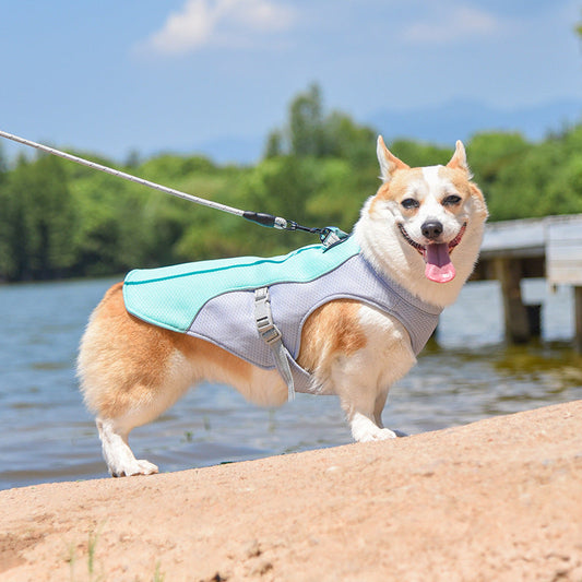 Atmungsaktive Weste zur Vorbeugung von Sonnenstich wasserlösliche Hundekühlweste