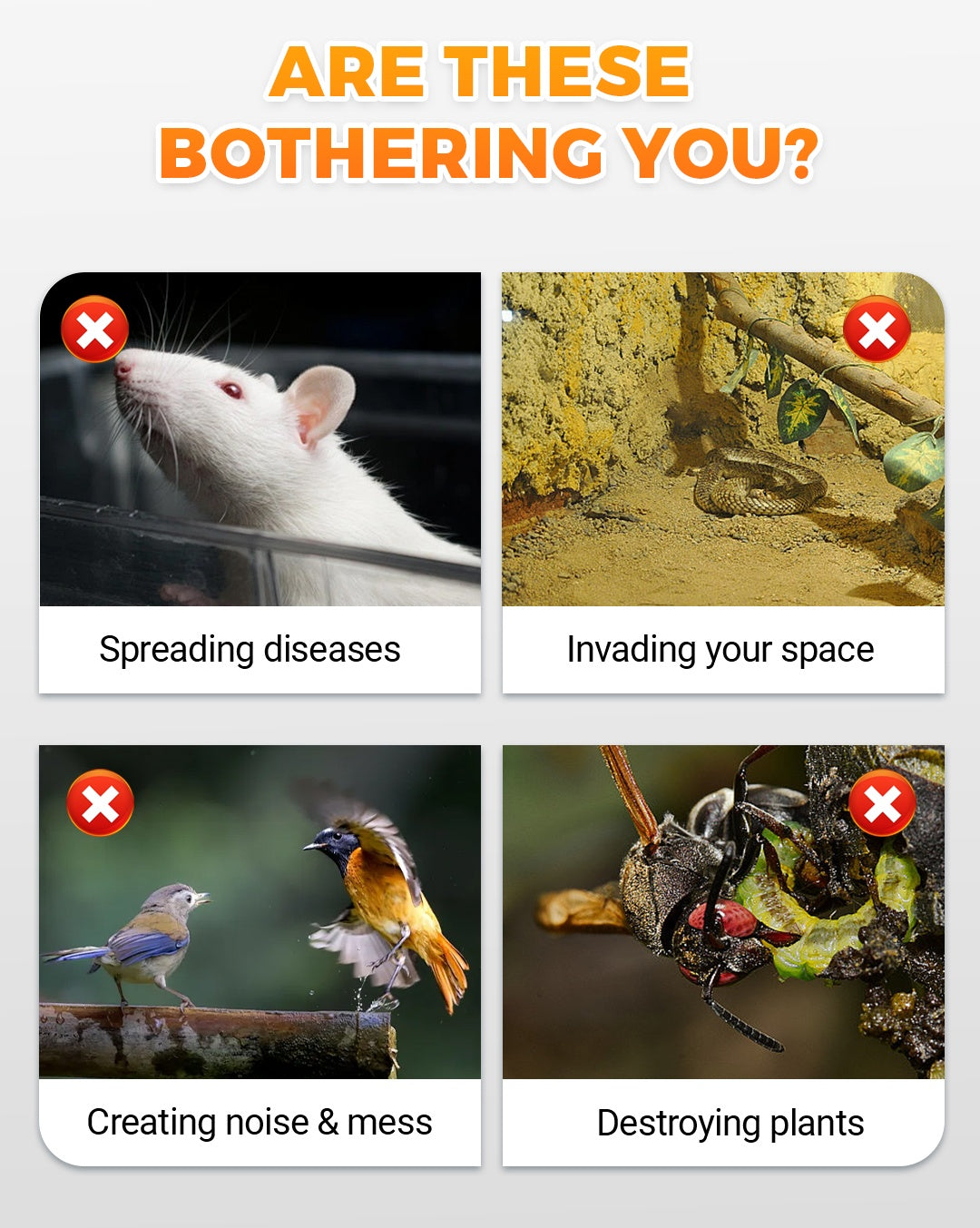 Frendorf |  VibraGreen – Ruhe für Ihren Garten