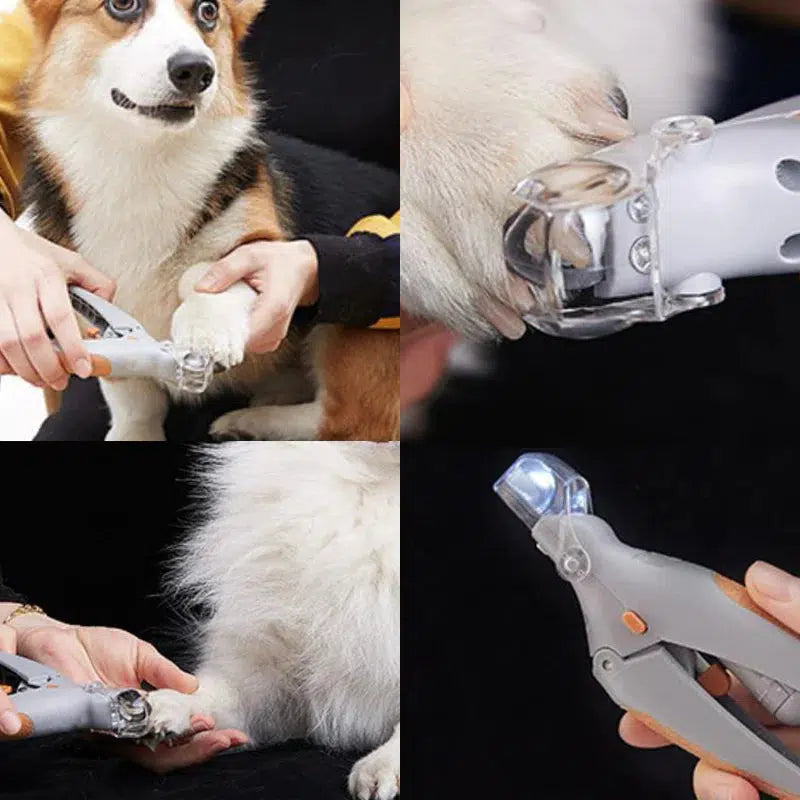 Frendorf | MAX - Bester Nagelknipser für Hunde mit Schnellsensoren