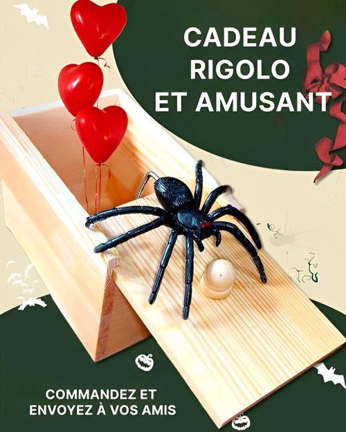 Frendorf | Box Farce und Attrape Spinne