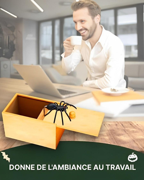 Frendorf | Box Farce und Attrape Spinne