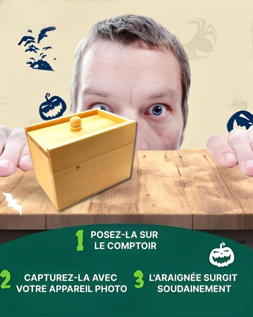 Frendorf | Box Farce und Attrape Spinne