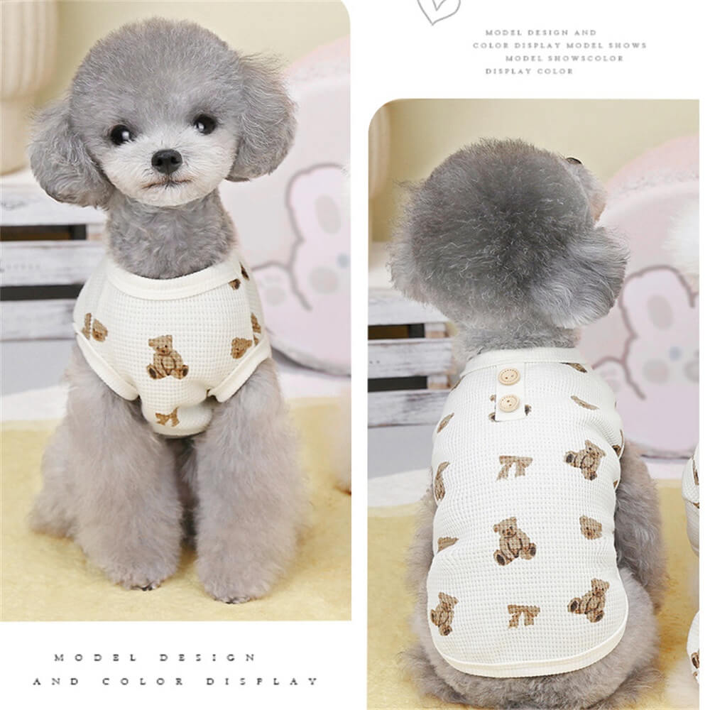 Adorables Teddy-Print-Hundeweste – Perfekt für drinnen und draußen