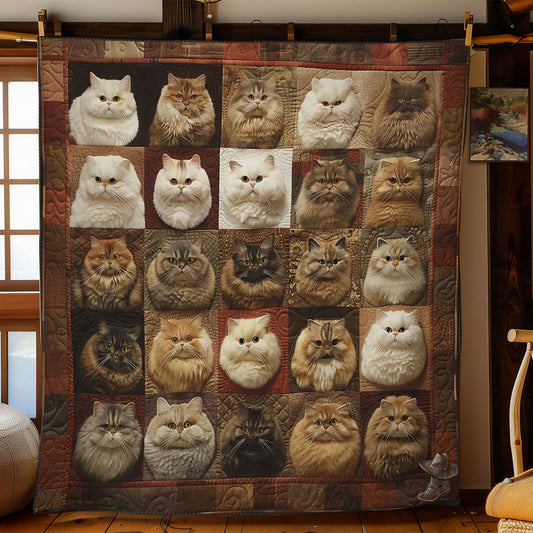 Gemütliche Katzendecke