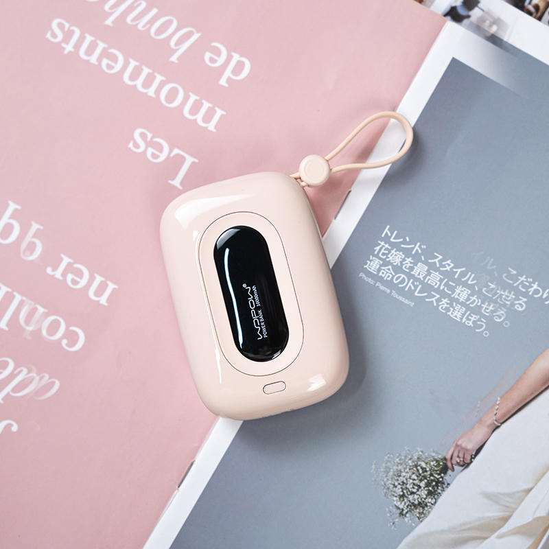 Frendorf | 10000mAh Eingebaute Dual-Kabel Powerbank