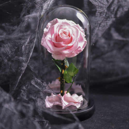 Forever Rose, Immerwährende Rose in Glaskuppel, 3 Tage Lieferzeit, Blau