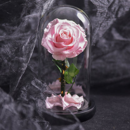 Forever Rose in Glaskuppel-Dekoration – Rot