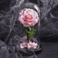 Forever Rose – Immerwährende Rose in Glaskuppel, 3 Tage Lieferzeit – Rosa