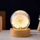 Verzaubernde 3D Löwenzahn Blumen Kristallkugel Lampe