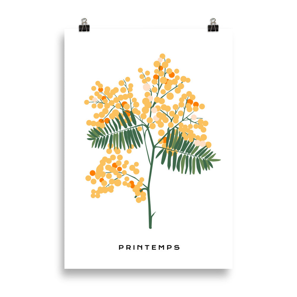 Printemps - Gelbe Blüte