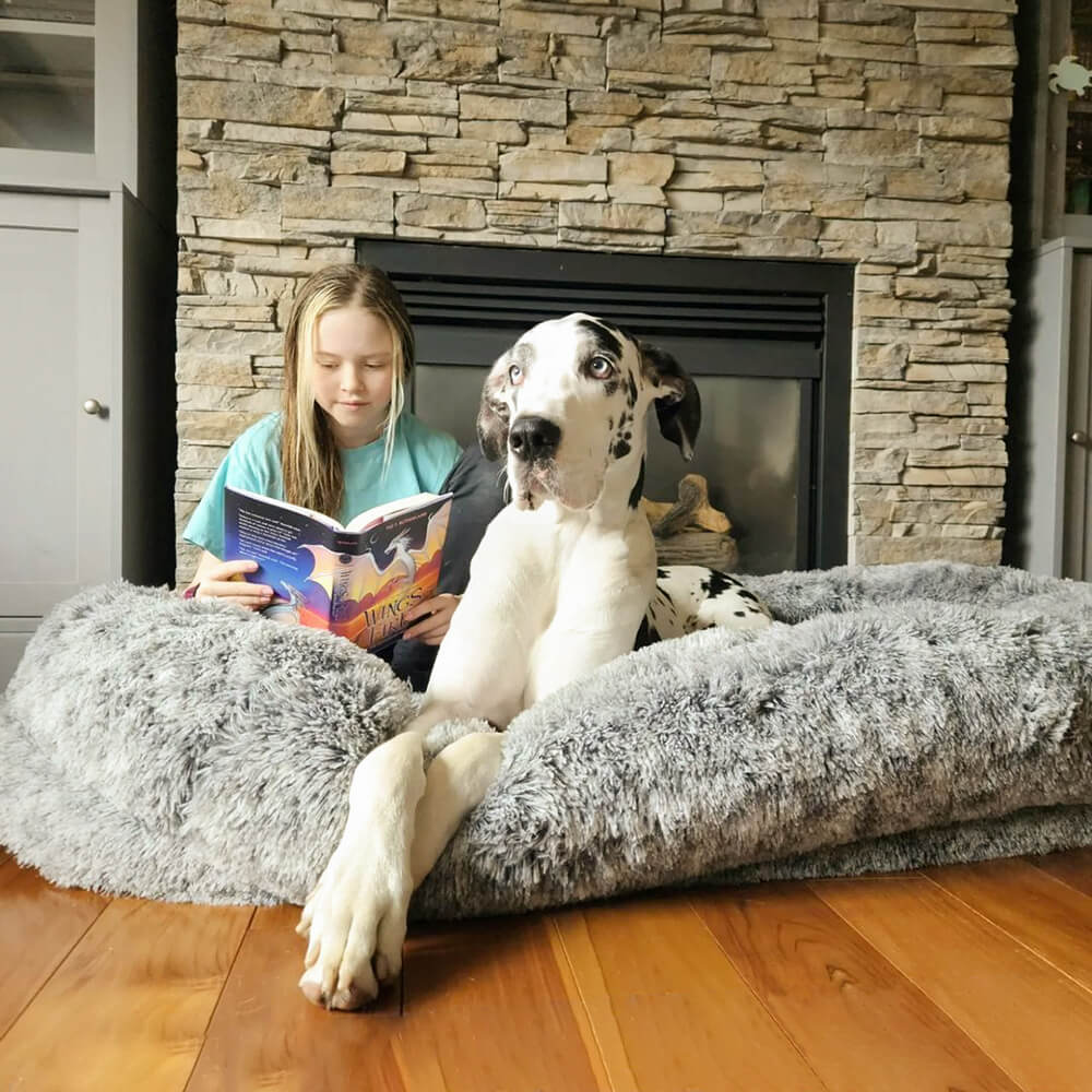 Donut Orthopädisches Hundebett