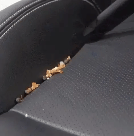 Frendorf | 3.0 - 2 in 1 tragbarer Premium-Staubsauger