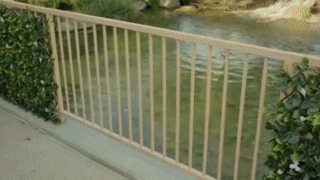 Frendorf | 1+1 GRATIS | 2+3 GRATIS | 4+4 GRATIS TEMPORÄR | Gardenscape