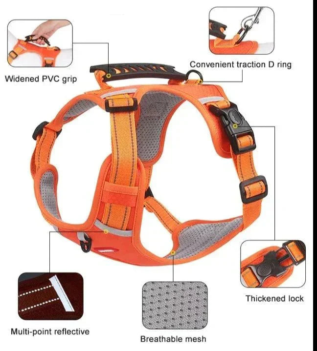 Frendorf |  DogGrip - Führen Sie Ihren Hund sicher spazieren