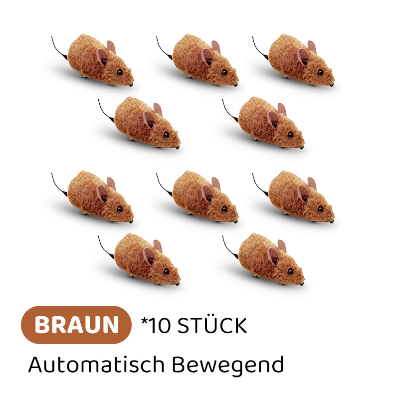 Frendorf |  CatPlay – Jagen, spielen, juchzen – der Spaß für deine Katze!