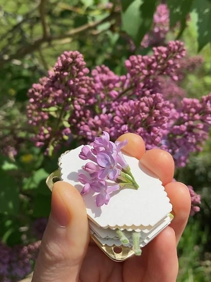 Frendorf | Mikro-Blumenpresse | Handgefertigt aus Silber & Messing | Inkl. 10 Blätter Herbarium-Papier