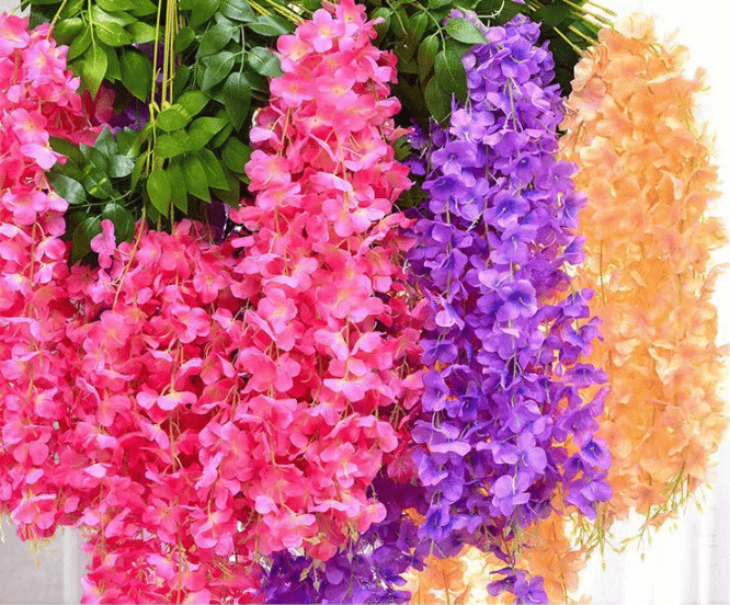 Frendorf | BloomLuxe – Immer blühend, immer prachtvoll!