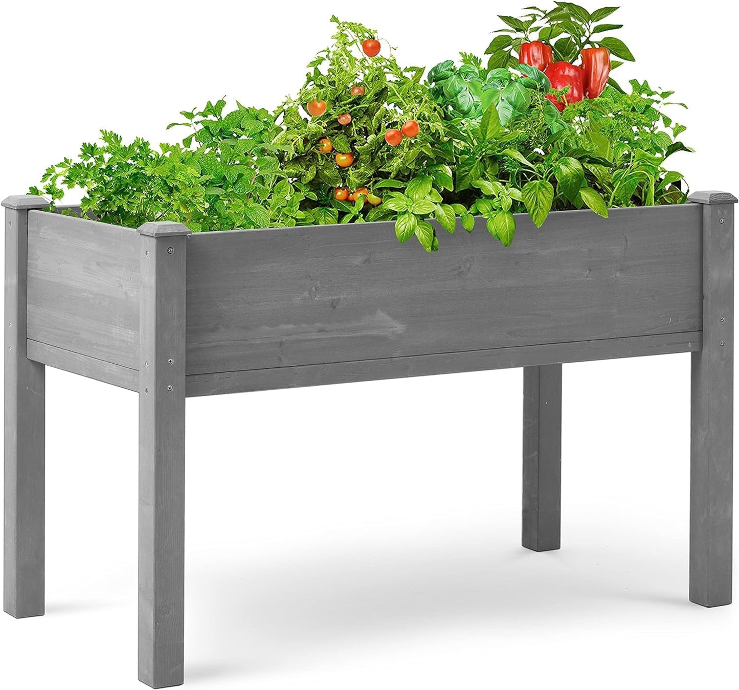 Frendorf | 31X31X16 Zoll Erhöhter Gartenbeet mit Beinen, Erhöhte Holzpflanzbox für Outdoor-Pflanzen Blumen Früchte Gemüse Kräuter Anbau