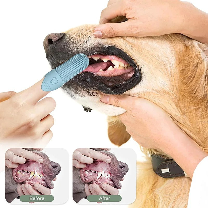Frendorf | PetEase 360° Fingerzahnbürste für Hunde | Effektive Zahnpflege | Schonend & Einfach | Für saubere Hundezähne