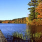 Frendorf | Herbstfarben entlang eines New England Sees Wandkunst