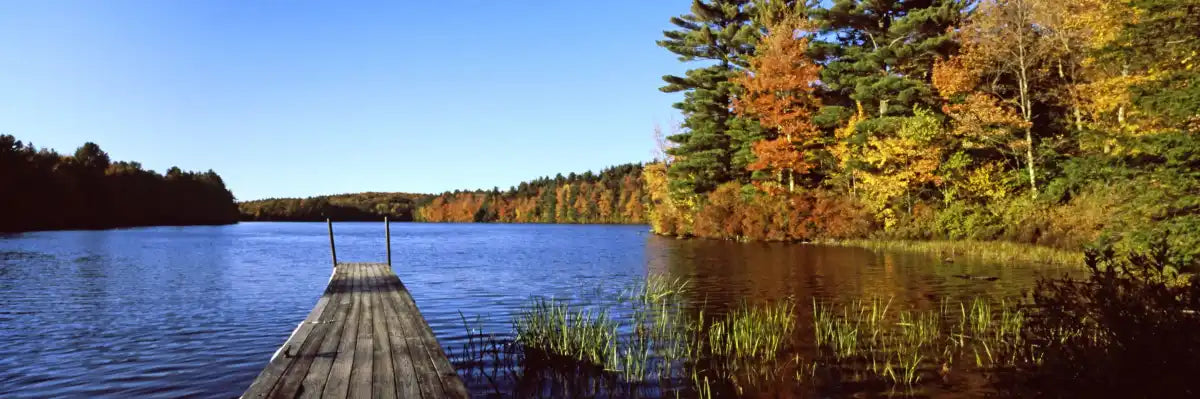 Frendorf | Herbstfarben entlang eines New England Sees Wandkunst
