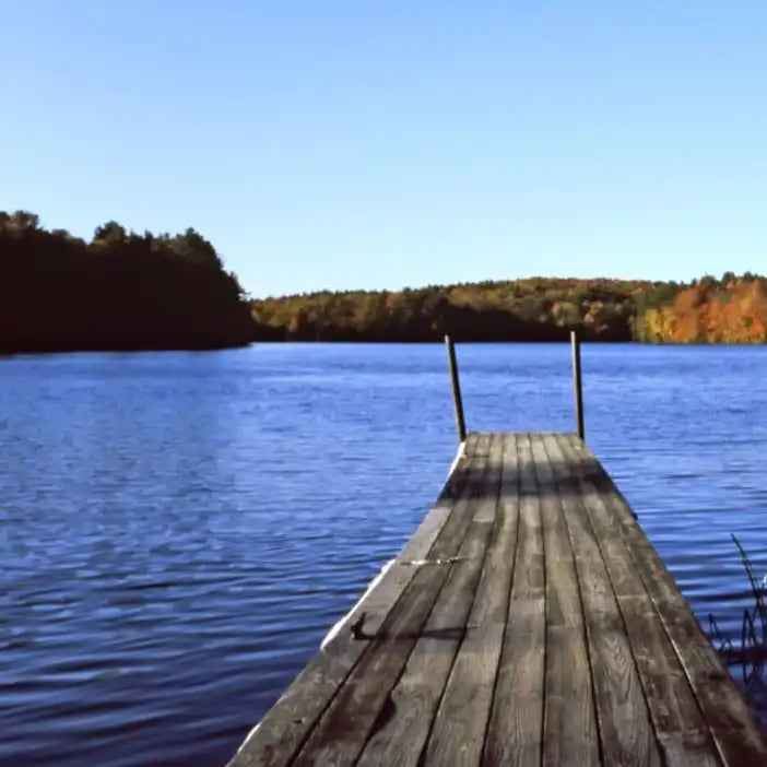 Frendorf | Herbstfarben entlang eines New England Sees Wandkunst