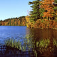 Frendorf | Herbstfarben entlang eines New England Sees Wandkunst