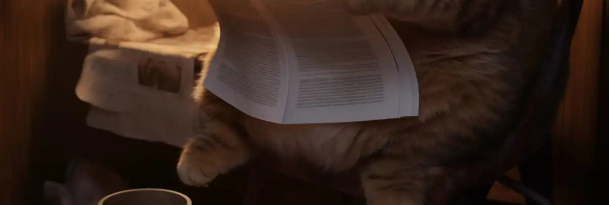 Frendorf | Fette faule Katze lesende Wandkunst