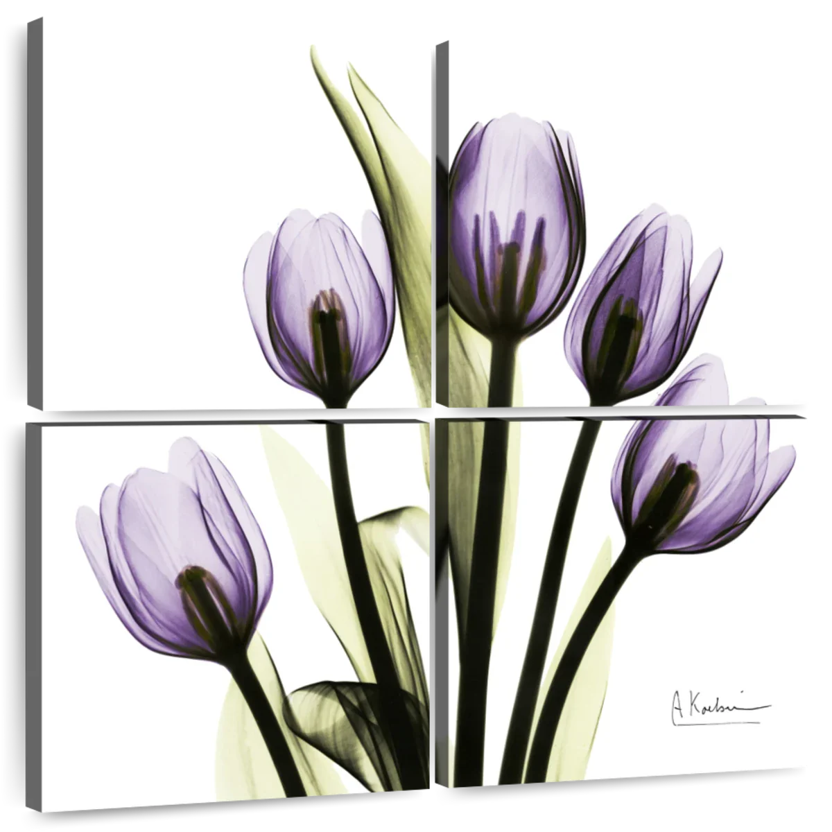 Frendorf | Lila Tulpe Quadrat Wandkunst