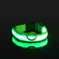 Frendorf | BrightPaws LED Leine und Leuchthalsband | Sicherheitsset für Hunde | Sichtbarkeit & Stil